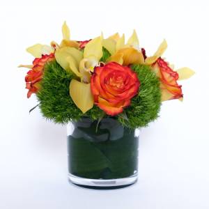 Огненное безумие