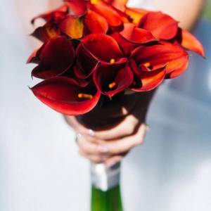 Букет из калл для невесты "Огонь страсти"