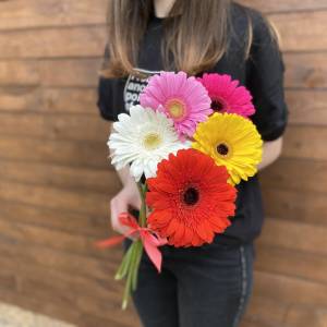 5 гербер под ленту