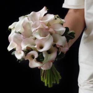 Букет из бело-розовых калл "Невеста"