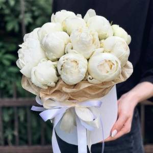 Белые пионы в коробке