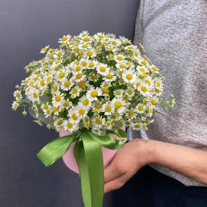 Ромашки в шляпной коробке